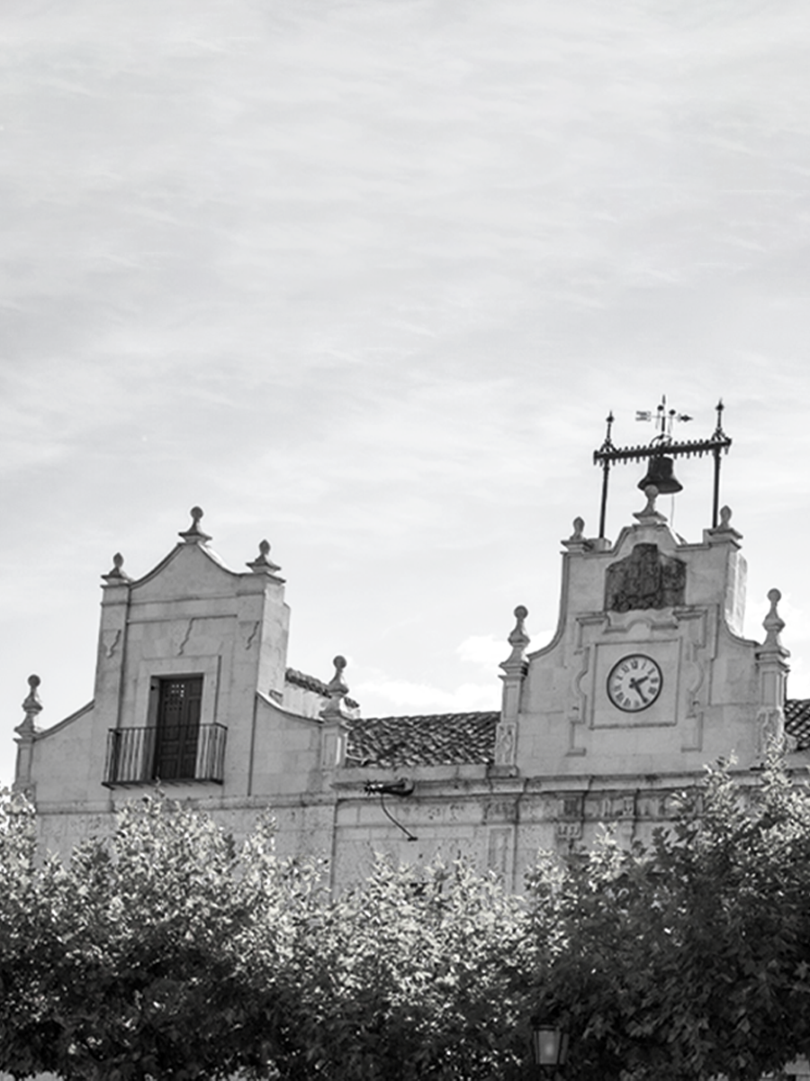 “¿QUÉ VEO?” ¿Se puede transformar la política desde un ayuntamiento?